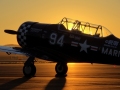 T6-backlit-sunrise
